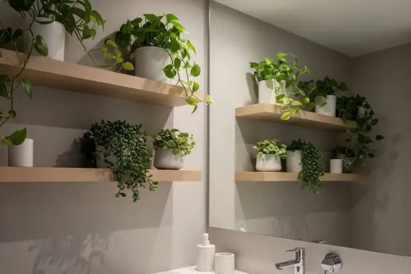 Verde no Banheiro – Dicas de Plantas que Sobrevivem em Ambientes Úmidos e Pequenos